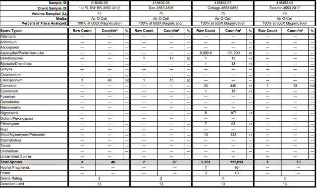 Lab-Report